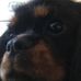 Profile Picture of Julia Stamper (@julias79) on Facebook
