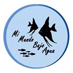 Profile Picture of Jonathan Longo (@mimundobajoagua) on Instagram