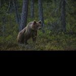 Profile Picture of nelson_jenkinsi (@nelson_jenkinsi) on Instagram