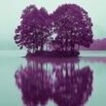 Profile Picture of Oscar Mauro Godínez Ramírez (@oscarmaurogodinez) on Instagram