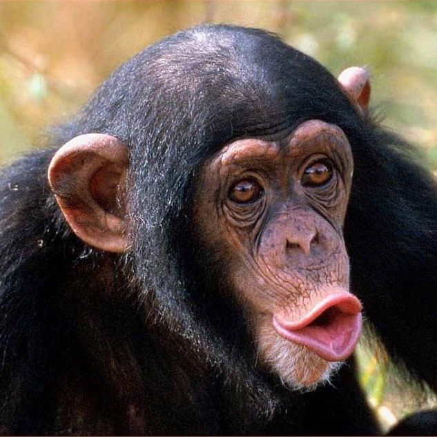 Profile Picture of Paul (@paul.koller) on Tiktok