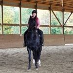 Profile Picture of Tami Boley Ballance (@boleyballance) on Instagram