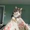 Profile Picture of Lori Mckay (@Lori-Mckay) on Facebook