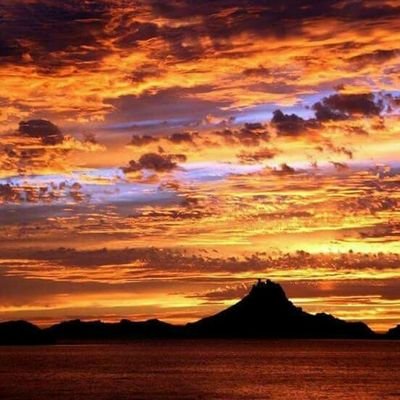 Profile Picture of Steven Camargo (@stevencamargo15) on Twitter