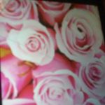 Profile Picture of jemirbrackins (@briankennerson23) on Instagram