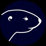 Profile Picture of Otter Spirit | Natural gemstones jewelry brand (@otterspirit) on Instagram