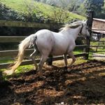 Profile Picture of Alejandro Cosio (@alejandroo_cs) on Instagram