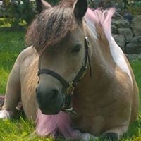 Profile Picture of Paula Chisholm (@paula-chisholm-3) on Quora