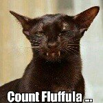 Profile Picture of jason (@j_pantera) on Instagram