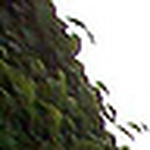 Profile Picture of Edgar Mario Quispe Chumbimuni (@edgarmario) on Flickr