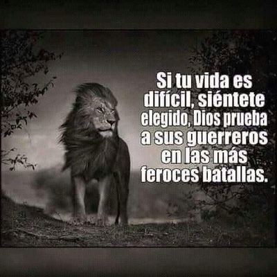 Profile Picture of Iris Santos (@IrisSan13345098) on Twitter