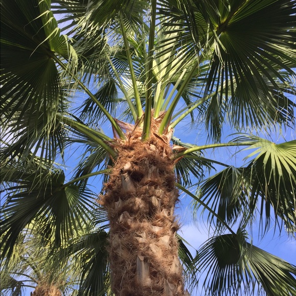 Profile Picture of Rachel Lugauer (@rachelsoccer3) on Poshmark