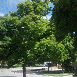 Profile Picture of Anna Dutson (@ahdutson) on Instagram