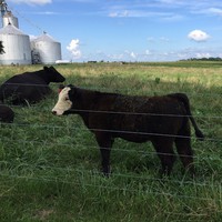 Profile Picture of Derek Thurston (@derek-thurston-5) on Quora