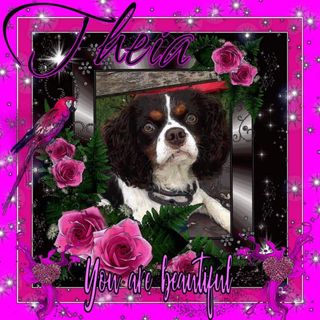 Profile Picture of Taylor Elizabeth Koehler (@taylorkoehler) on Facebook