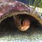 Profile Picture of Pauline Wimmer (@pauline.wimmer.1) on Facebook