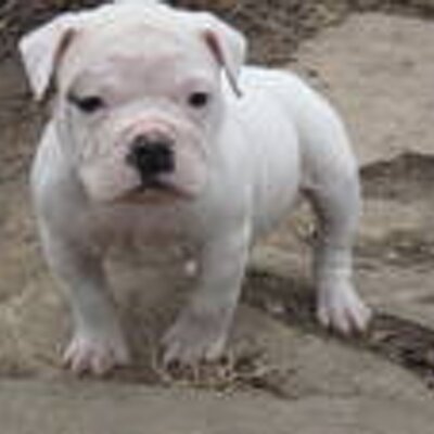 Profile Picture of Bryon P Farmer (@BryonPFarmer) on Twitter