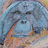 Profile Picture of Tony Prince (@imaprincey) on Flickr