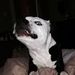 Profile Picture of John Vath (@johnvath) on Pinterest