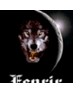 Profile Picture of Andreas Eckhoff (@FenrirCux) on Twitter