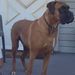 Profile Picture of John Adamik (@johnrobertadamik) on Pinterest
