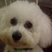 Profile Picture of Nancy Testerman (@nancy.testerman.1) on Facebook