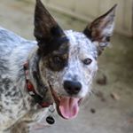 Profile Picture of Doc Holliday (@thedocbook) on Instagram