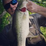 Profile Picture of George fouts (@george_fouts) on Instagram