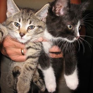 Profile Picture of Jolanta Galankiewicz (@Jola.Galankiewicz) on Facebook