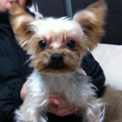 Profile Picture of Aki (@kevinbiggie) on Twitter