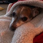 Profile Picture of Beth Laganelli (@bethlaganelli) on Instagram