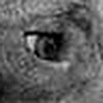 Profile Picture of Laurie Schneider (@snideism) on Flickr