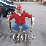 Profile Picture of Milad Chaker Gerges (@milado1971) on Instagram