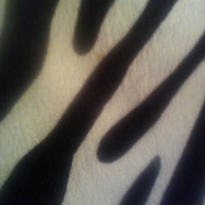 Profile Picture of Hannah Torrez (@simply_hannahh) on Twitter