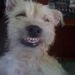 Profile Picture of Glenn-Karen Lightcap MacKay (@kmackay1) on Pinterest