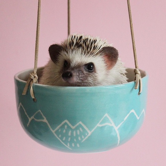 Profile Picture of Ronne Ronne (@ronne808) on Poshmark