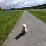 Profile Picture of Sandra Maddox (@maddox.sandra) on Instagram