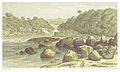 Profile Picture of Courantyne Riveron Wikipedia