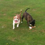 Profile Picture of David Blythe (@harrilouise09) on Instagram