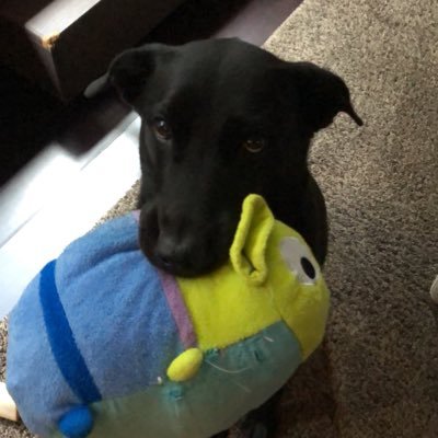 Profile Picture of Keith_field (@keithfield19) on Twitter