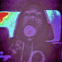 Profile Picture of Justin Maloney (@justin-maloney-1) on Quora