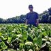 Profile Picture of Michael Farson (@michael_farson) on Pinterest