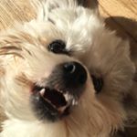 Profile Picture of Jonathan Wexler (@jonathan.wex) on Instagram