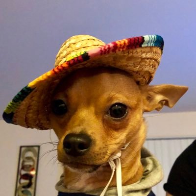 Profile Picture of Deborah Schubert (@DeborahSchuber9) on Twitter