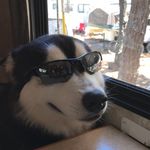 Profile Picture of Corey Tapper (@ctapper1969) on Instagram