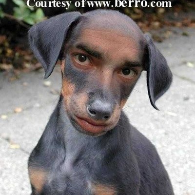 Profile Picture of Jason Quiles (@jasonquiles1) on Twitter