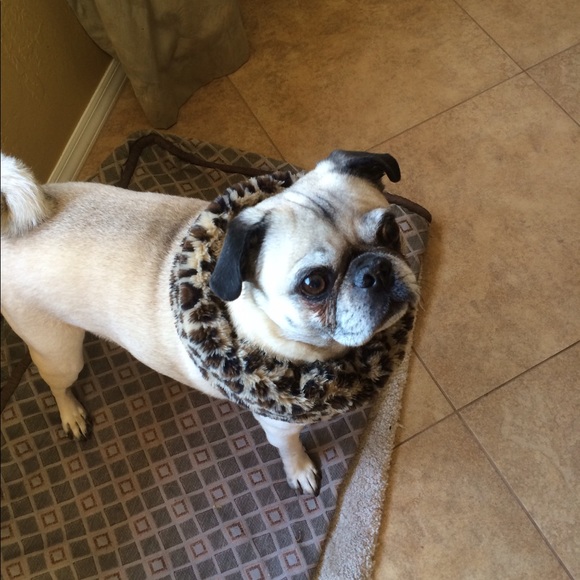 Profile Picture of Weidner Erik (@erikweidner) on Poshmark