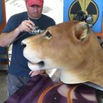 Profile Picture of The Hulfish Project (@thehulfishproject) on Instagram
