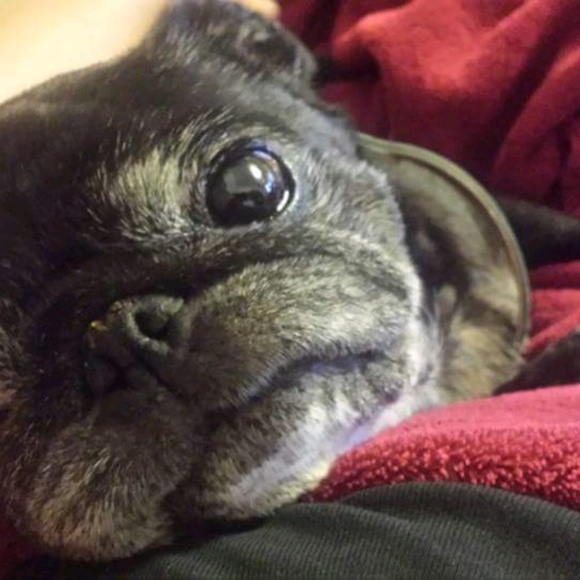 Profile Picture of Lori Damanda (@ldamanda) on Poshmark