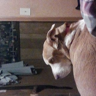 Profile Picture of Derek Testerman (@derek.testerman.9) on Facebook